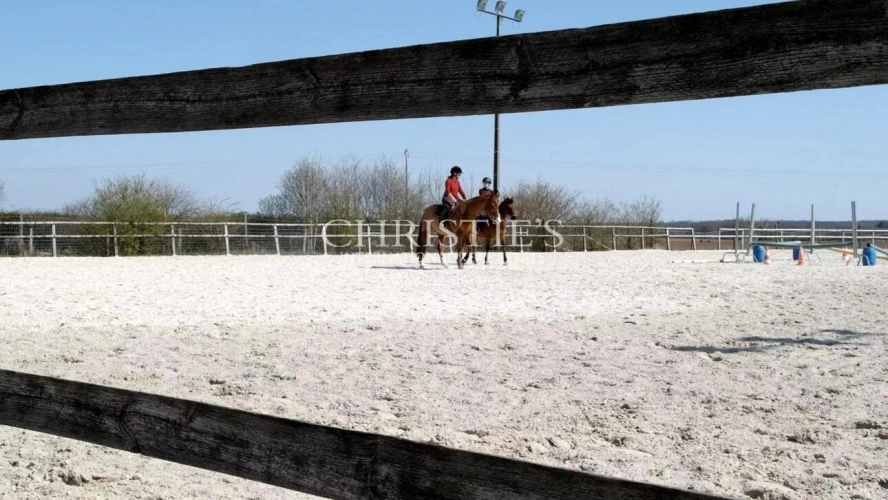 Photos 19 - Équestre - Vente domaine équestre près de Poitiers