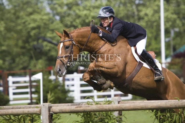 Photos 1 - Équestre - Magnifique château avec installations équestres de très haut niveau