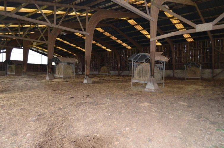 Photos 11 - Agricole - PROPRIETE RURALE ET AGRCOLE