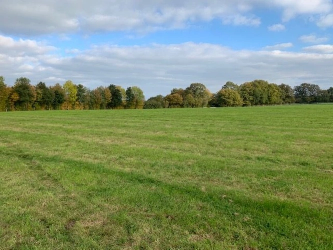 Photos 17 - Agricole - PROPRIETE RURALE ET AGRCOLE