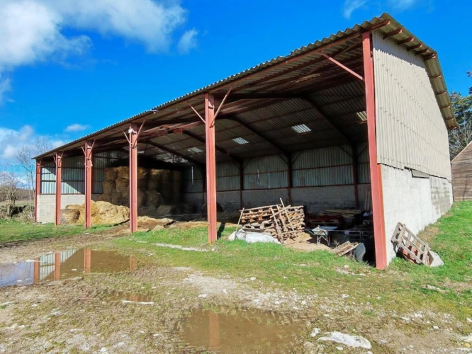 Photos 13 - Equestrian - Villa