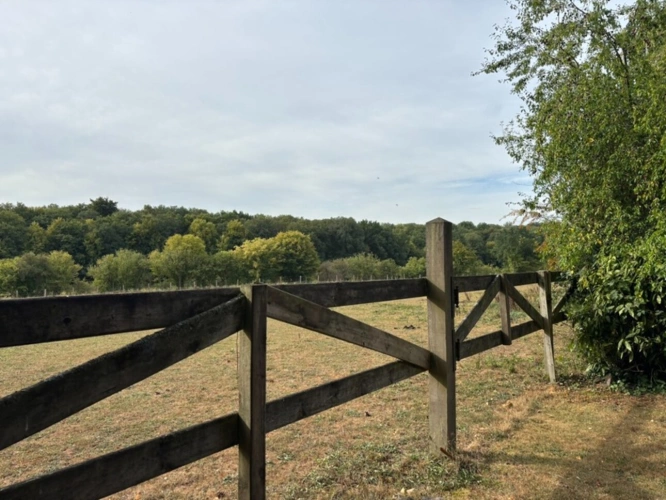 Photos 30 - Prestige - A VENDRE EN EXCLUSIVITÉ – Domaine d’exception en lisière de forêt à Ohain (59) 