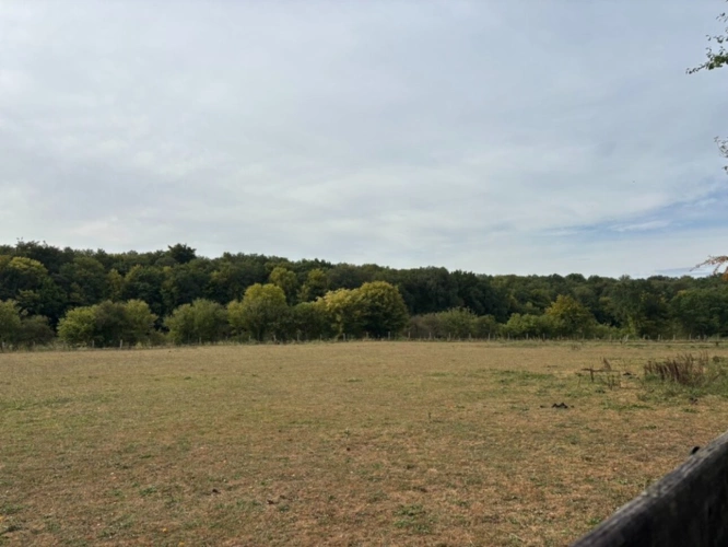 Photos 31 - Prestige - A VENDRE EN EXCLUSIVITÉ – Domaine d’exception en lisière de forêt à Ohain (59) 