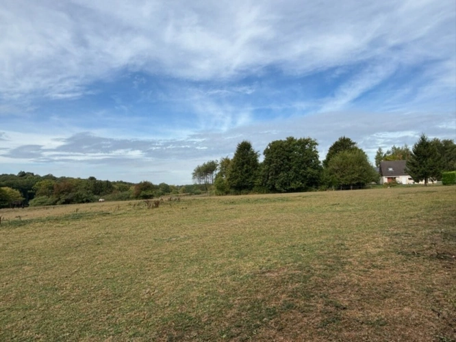 Photos 32 - Prestige - A VENDRE EN EXCLUSIVITÉ – Domaine d’exception en lisière de forêt à Ohain (59) 