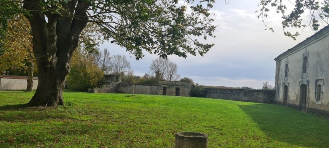 Photos 3 - Prestigious - 8-room property for sale (17)