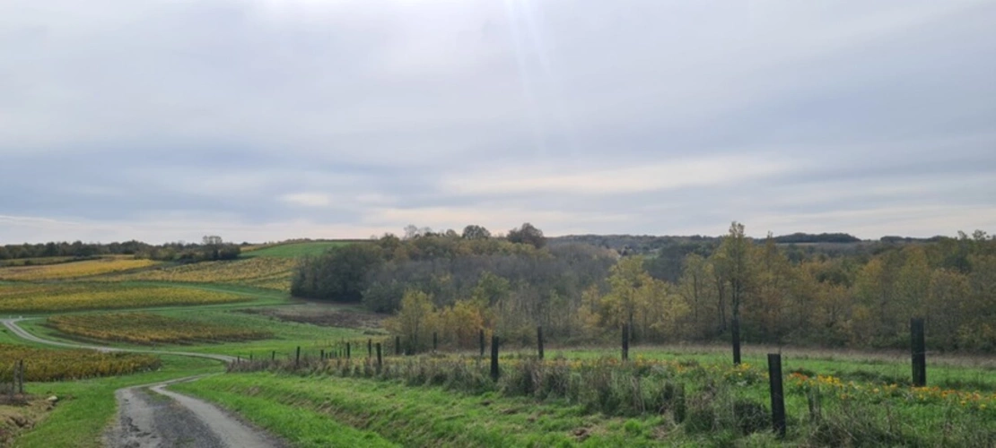 Photos 10 - Prestigious - 8-room property for sale (17)