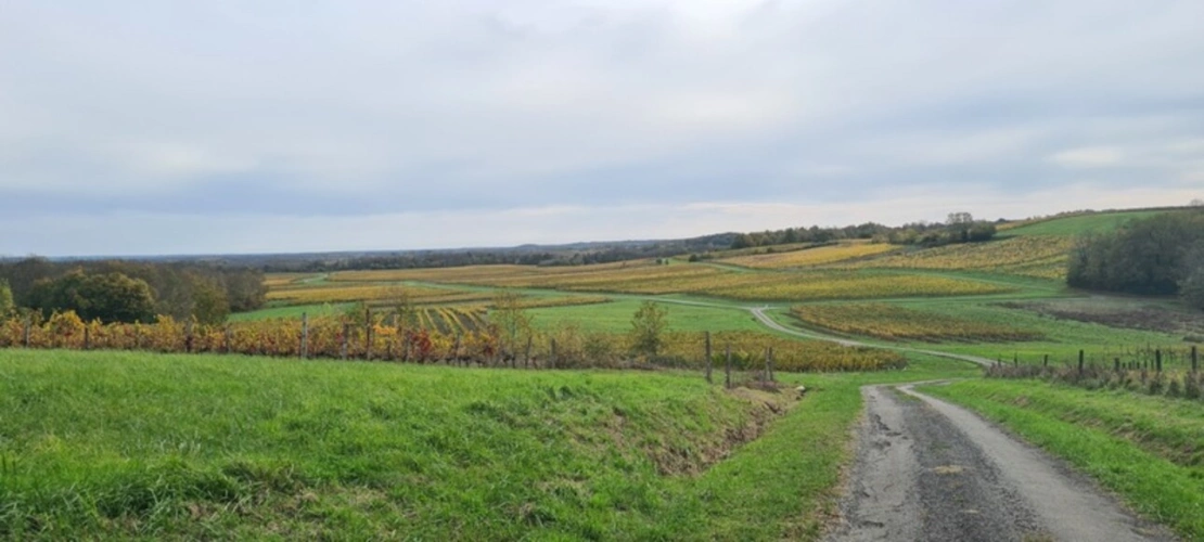 Photos 11 - Prestigious - 8-room property for sale (17)