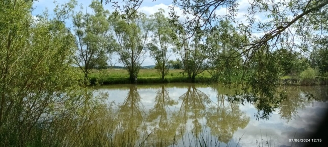 Photos 52 - Équestre - Propriété à vendre SAINT HILAIRE ( allier) comprenant une maison et un gite sur un parc de 23433 m²