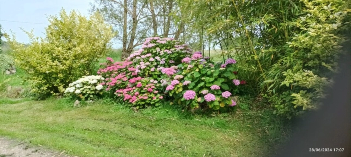 Photos 61 - Équestre - Propriété à vendre SAINT HILAIRE ( allier) comprenant une maison et un gite sur un parc de 23433 m²