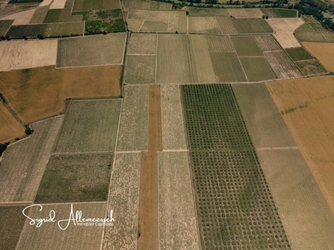 Photos 3 - Agricole - Domaine viticole & touristique de prestige – 63 ha – Proche Méditerranée