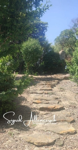 Photos 8 - Agricole - Domaine viticole & touristique de prestige – 63 ha – Proche Méditerranée