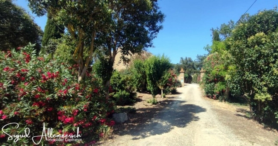 Photos 9 - Agricole - Domaine viticole & touristique de prestige – 63 ha – Proche Méditerranée