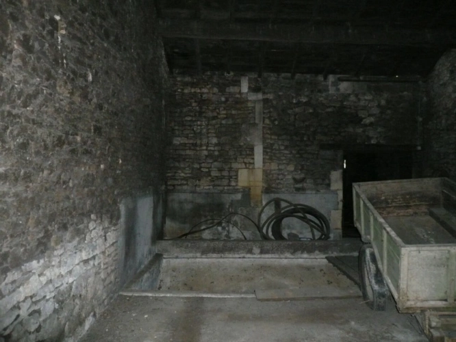 Photos 53 - Rurale -  BURIE (17) A Vendre CORPS de FERME et Ses Nombreuses Dépendances 