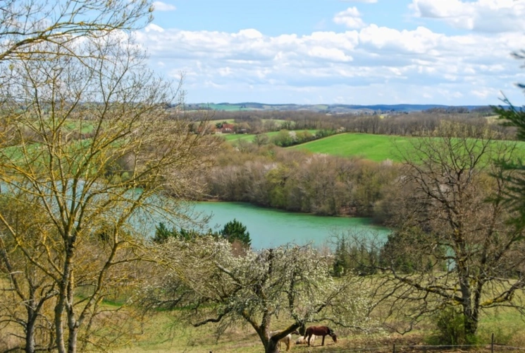 Photos 54 - Prestige - A vendre proche de MARCIAC (32) - Château de 32 pièces - 1540 m2 habitables - Domaine de 5,8 hectares