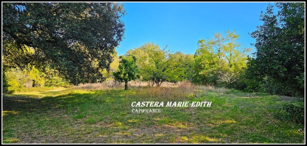 Photos 37 - Prestigious - Propriété - Château Gascon Historique  - Terres agricoles, proche de AUCH (32)