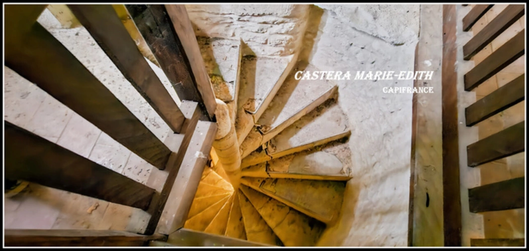 Photos 18 - Prestigious - Propriété - Château Gascon Historique  - Terres agricoles, proche de AUCH (32)