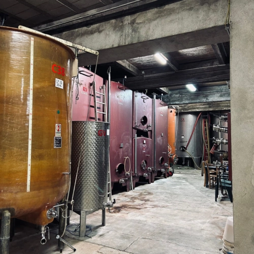 Photos 4 - Viticole - Propriete viticole bio AOP Faugères à vendre  ROQUESSELS (34) 9,8ha de vignes 28ha de landes caves 572m²