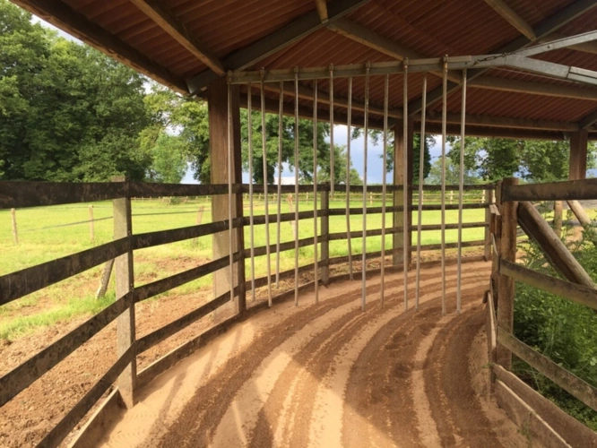 Photos 25 - Équestre - Château, installation équestre (haras) à vendre au coeur du bocage bourbonnais - Maison de gardien, club house, maison des cavaliers, boxes, écuries - Terrain de 40 hectares