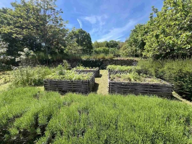 Photos 22 - Prestige - Propriete à vendre 6 pièces proche de CORMERY (37)