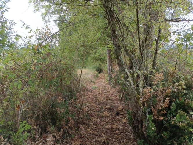 Photos 11 - Agricultural - Agricultural land