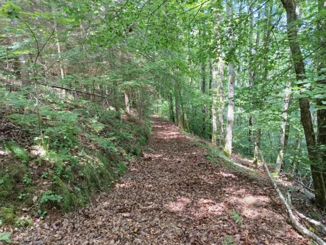 Photos 8 - Rural - House and Land