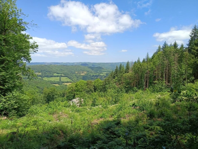 Photos 9 - Rural - House and Land