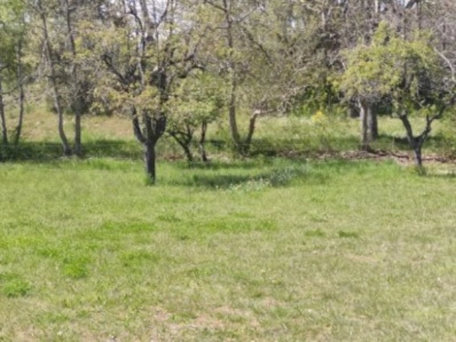 Photos 3 - Rurale - Maison avec terrain attenant