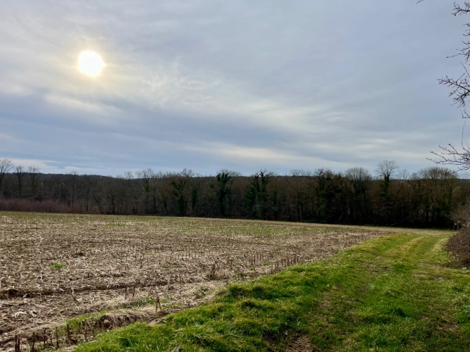 Photos 8 - Forestière - Domaine rural entre Lyon et Genève : 190 ha avec forêts, terres agricoles et étangs