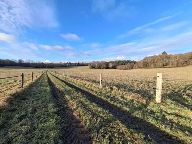 Photos 1 - Équestre - Domaine Équestre d'Exception sur 32 ha - Habitation 224 m²