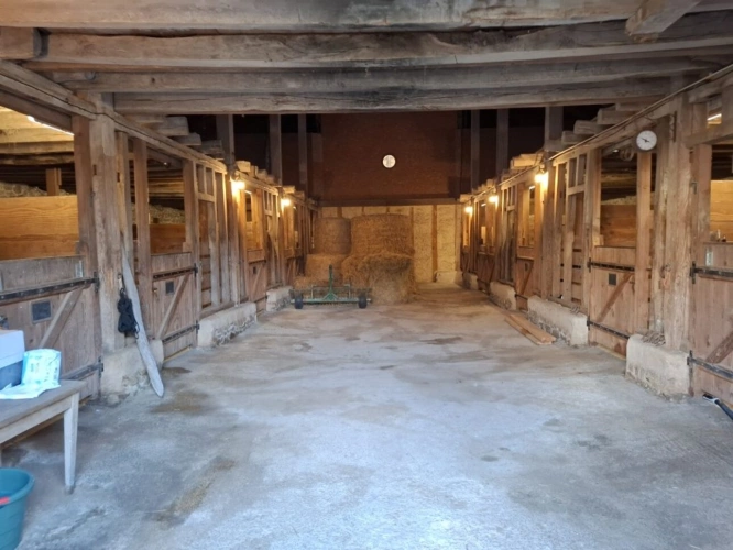 Photos 3 - Équestre - Domaine Équestre d'Exception sur 32 ha - Habitation 224 m²