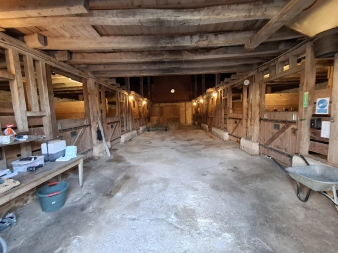 Photos 4 - Équestre - Domaine Équestre d'Exception sur 32 ha - Habitation 224 m²