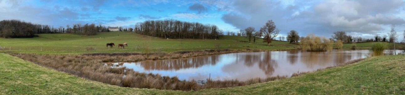 Photos 4 - Équestre - Château, installation équestre (haras) à vendre au coeur du bocage bourbonnais - Maison de gardien, club house, maison des cavaliers, boxes, écuries - Terrain de 40 hectares
