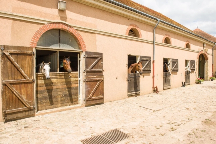 Photos 17 - Équestre - Château, installation équestre (haras) à vendre au coeur du bocage bourbonnais - Maison de gardien, club house, maison des cavaliers, boxes, écuries - Terrain de 40 hectares