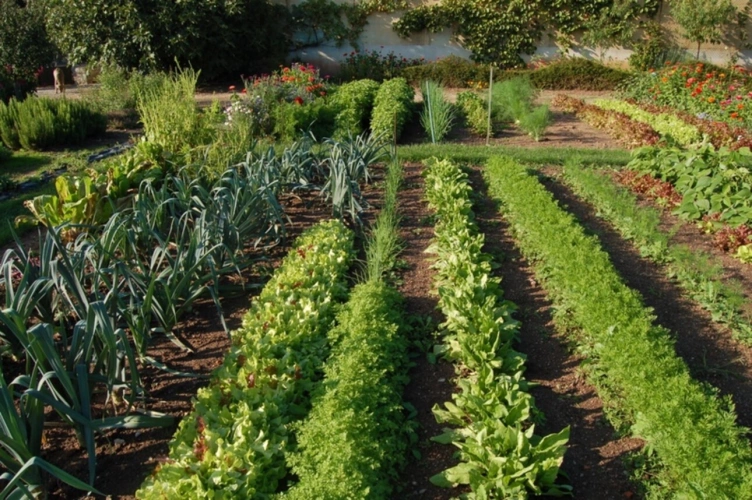 Photos 23 - Équestre - Château, installation équestre (haras) à vendre au coeur du bocage bourbonnais - Maison de gardien, club house, maison des cavaliers, boxes, écuries - Terrain de 40 hectares