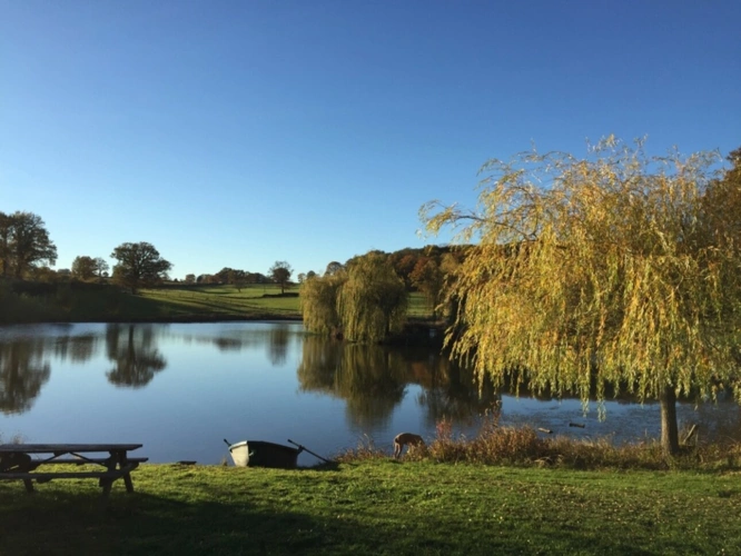 Photos 24 - Équestre - Château, installation équestre (haras) à vendre au coeur du bocage bourbonnais - Maison de gardien, club house, maison des cavaliers, boxes, écuries - Terrain de 40 hectares