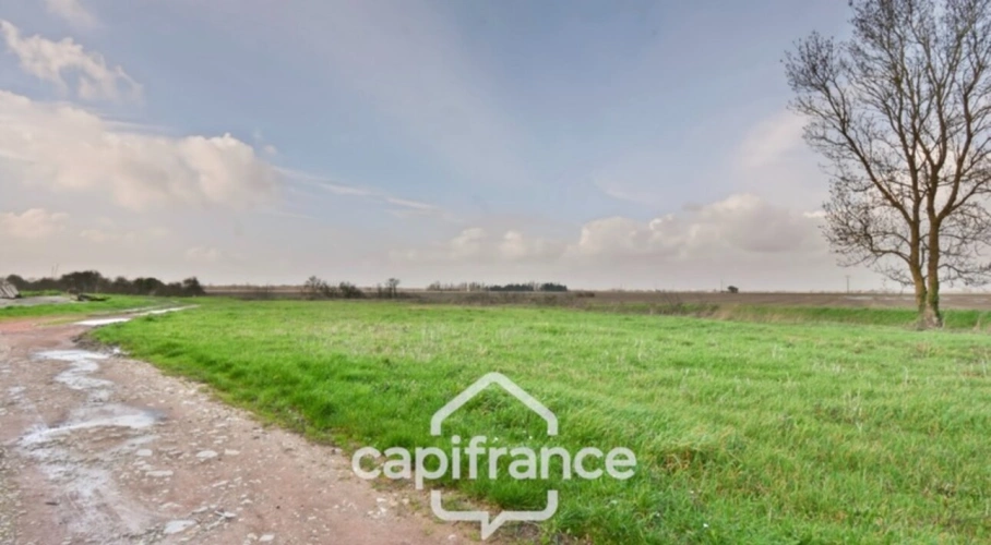 Photos 4 - Rural - Ensemble Immobilier à vendre NUAILLE D'AUNIS (17) à vendre NUAILLE D'AUNIS, ensemble immobilier d'une surface de 591,64 m2, le tout sur une parcelle cadastrée de 4710 m2