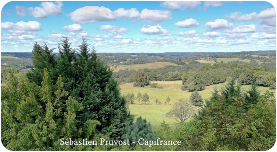 Photos 20 - Rural - Dpt Dordogne (24), à vendre 11 pièces proche Thiviers (24) propriété P11 325M2, terrain 22200m2, dépendance, piscine