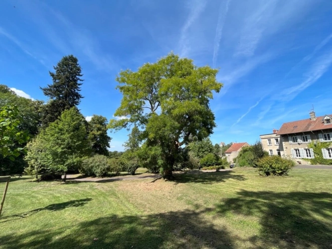 Photos 36 - Prestige - Propriete fin 18e siècle à vendre - Parc arboré de 9 000m2 - Idéal Gite - Chambres d'hôtes -