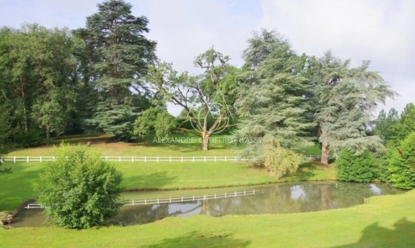 Photos 3 - Prestige - Château du XIXe siècle avec un parc de 75 ha, située à proximité immédiate de Poitiers