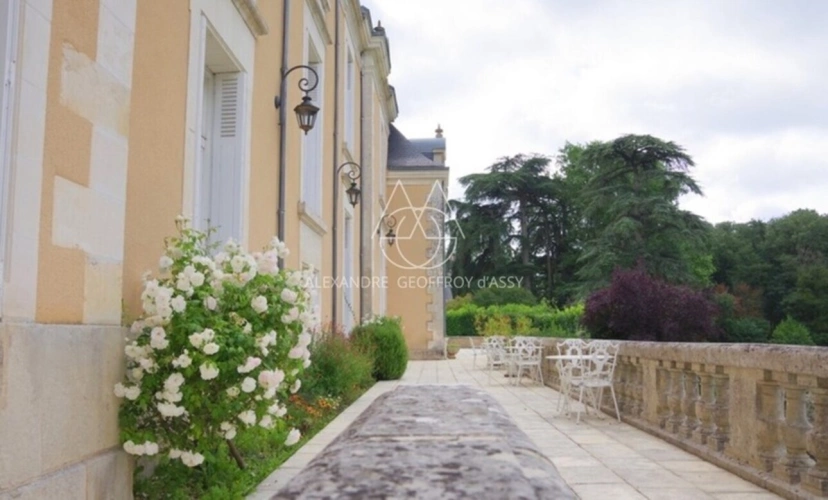 Photos 13 - Prestige - Château du XIXe siècle avec un parc de 75 ha, située à proximité immédiate de Poitiers