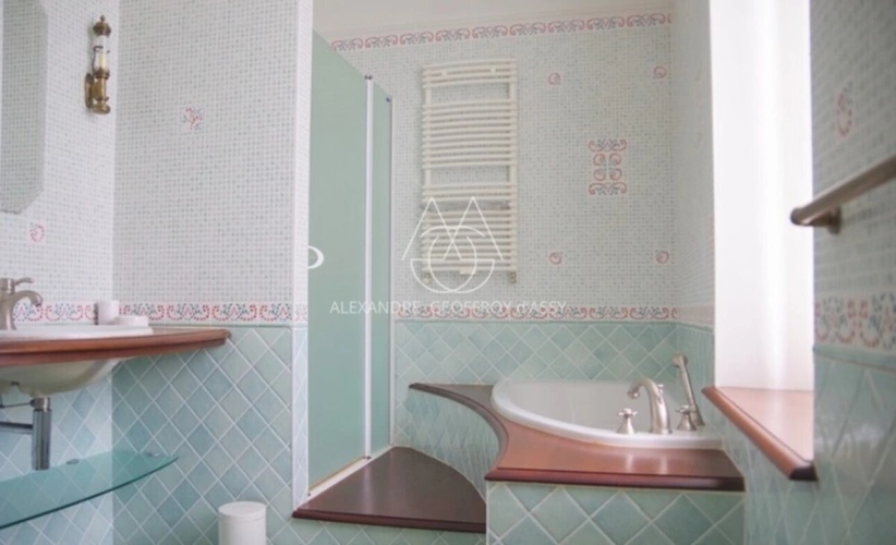 Photos 17 - Prestige - Château du XIXe siècle avec un parc de 75 ha, située à proximité immédiate de Poitiers