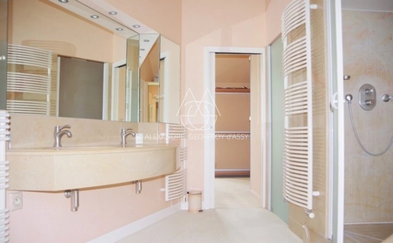 Photos 21 - Prestige - Château du XIXe siècle avec un parc de 75 ha, située à proximité immédiate de Poitiers