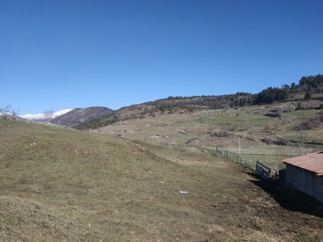 Photos 14 - Equestrian - House