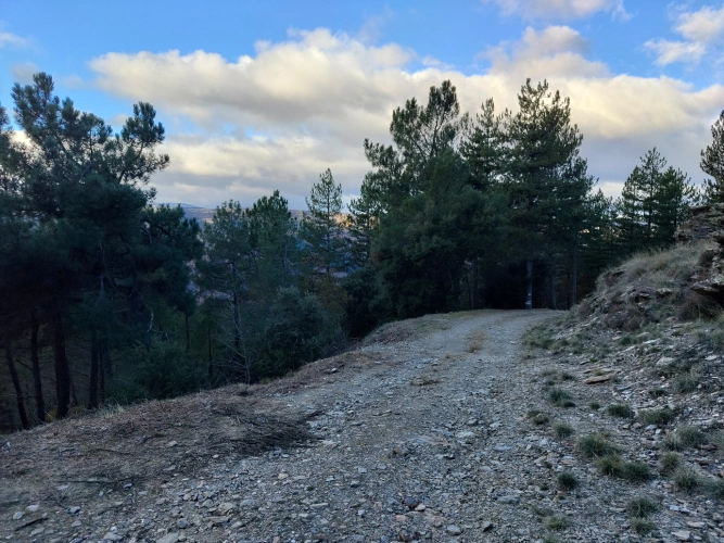 Photos 9 - Forestière - Propriété de 19 ha au cœur du Parc national des Cévennes (48)