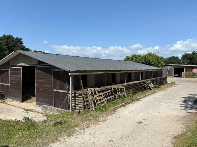 Photos 3 - Equestrian - Architect’s House with Stables and Direct Access to the Beaches – Ploemeur (56)