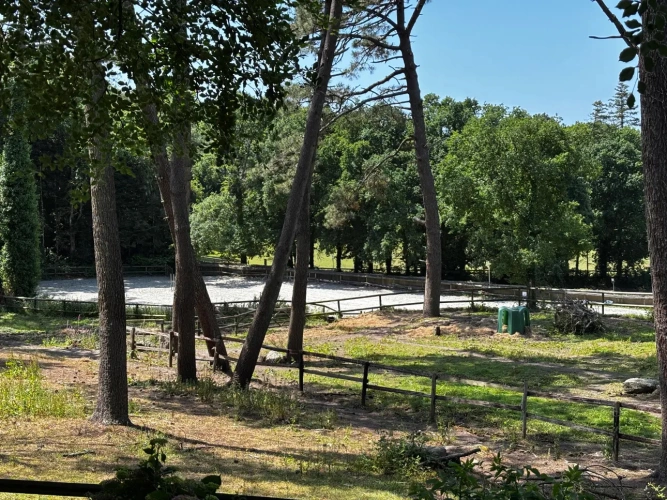 Photos 5 - Equestrian - Architect’s House with Stables and Direct Access to the Beaches – Ploemeur (56)