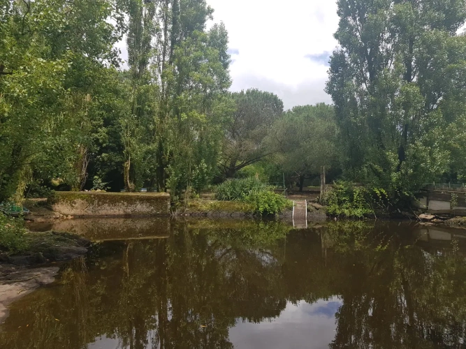 Photos 6 - Équestre - Belle propriété équestre avec deux maisons et 9 hectares en Vendée