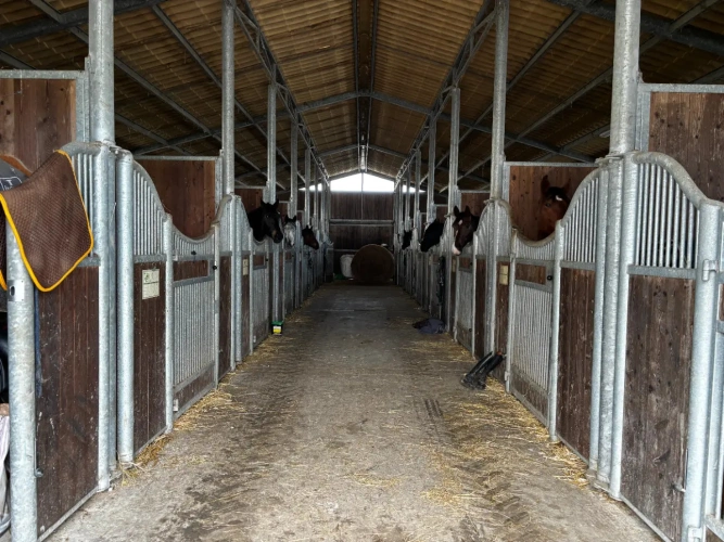 Photos 6 - Équestre - Domaine avec Gîtes et salle de réception, 15 ha, Côte Atlantique