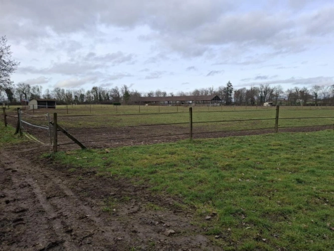 Photos 3 - Équestre - À LOUER - INSTALLATIONS ÉQUESTRES COMPLÈTES AVEC LOGEMENT (