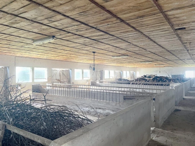 Photos 15 - Rurale - Propriété agricole